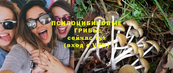 мескалин Гусиноозёрск