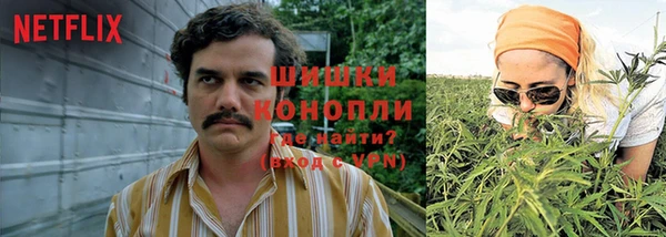 хмурый Горнозаводск