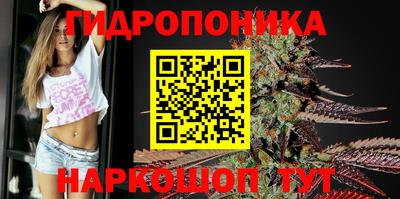 соль ск Гатчина