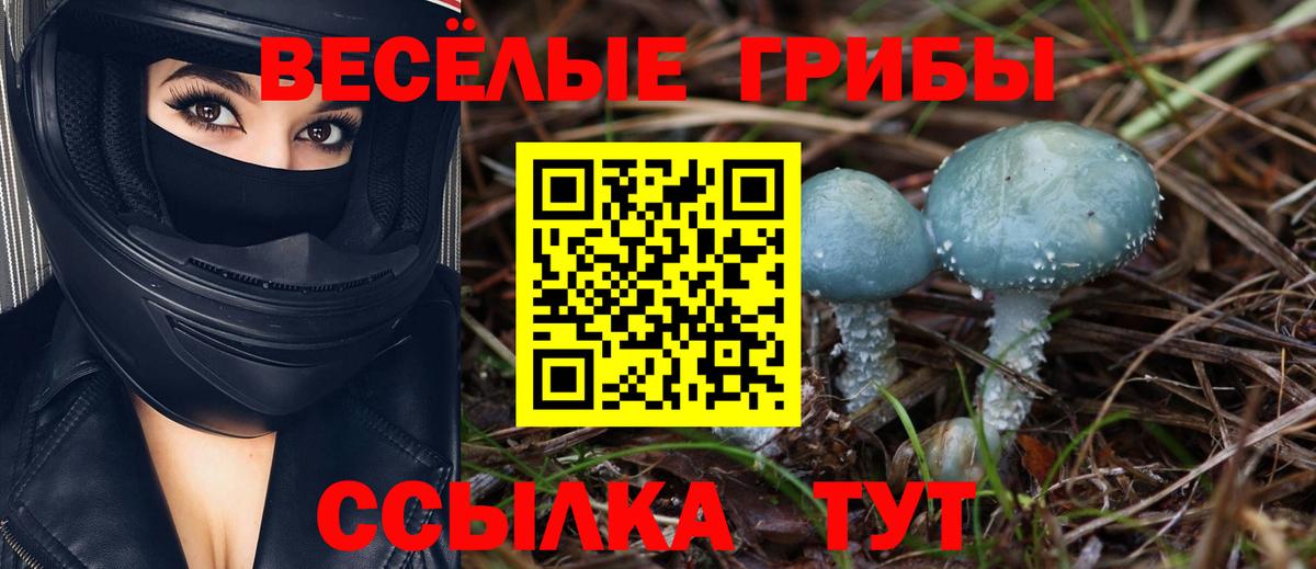 Псилоцибиновые грибы ЛСД Еманжелинск